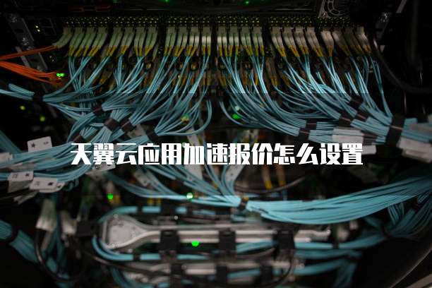 天翼云应用加速报价怎么设置