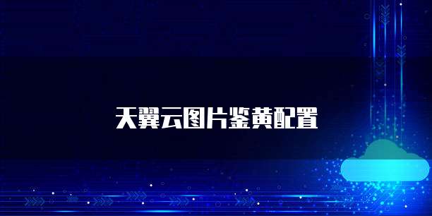 天翼云图片鉴黄配置