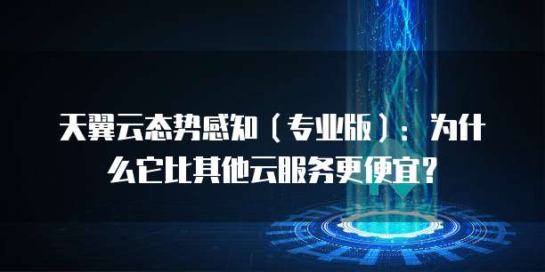 天翼云态势感知(专业版):为什么它比其他云服务更便宜?