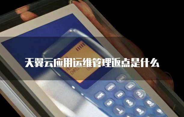 天翼云应用运维管理返点是什么