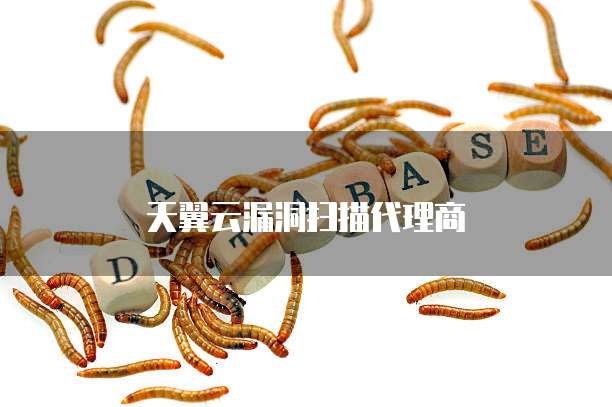 天翼云漏洞扫描代理商