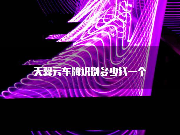 天翼云车牌识别多少钱一个