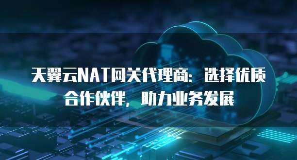 天翼云NAT网关代理商:选择优质合作伙伴,助力业务发展
