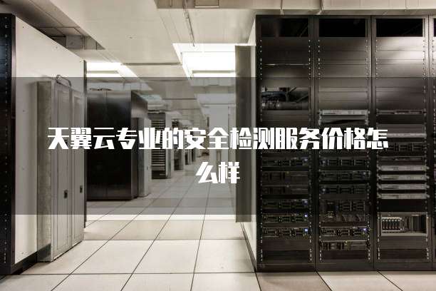 天翼云专业的安全检测服务价格怎么样