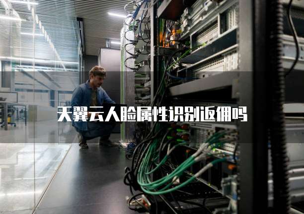 天翼云人脸属性识别返佣吗