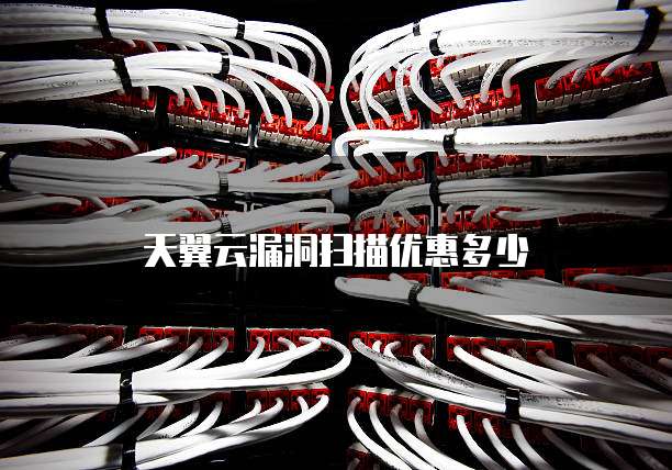 天翼云漏洞扫描优惠多少