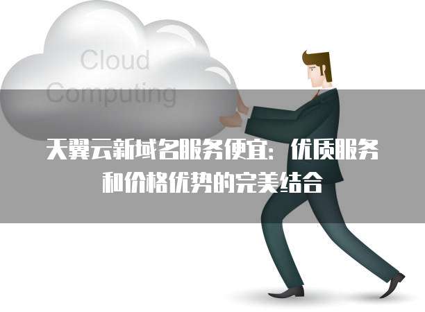 天翼云新域名服务便宜:优质服务和价格优势的完美结合