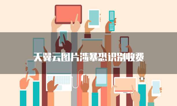 天翼云图片涉暴恐识别收费