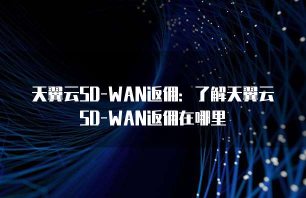 天翼云SD-WAN返佣:了解天翼云SD-WAN返佣在哪里