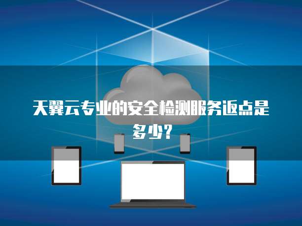 天翼云专业的安全检测服务返点是多少?