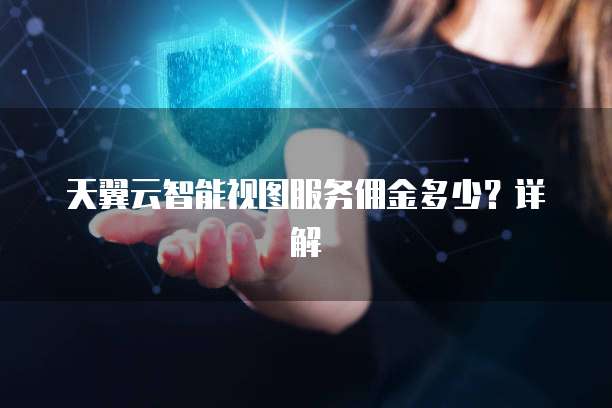 天翼云智能视图服务佣金多少？详解