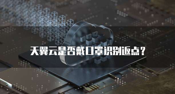天翼云是否戴口罩识别返点？