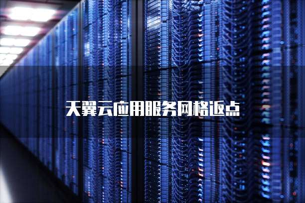 天翼云应用服务网格返点