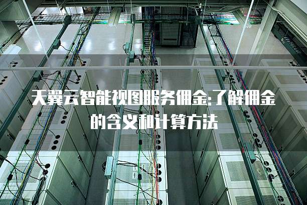 天翼云智能视图服务佣金:了解佣金的含义和计算方法