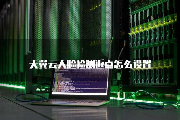 天翼云人脸检测返点怎么设置
