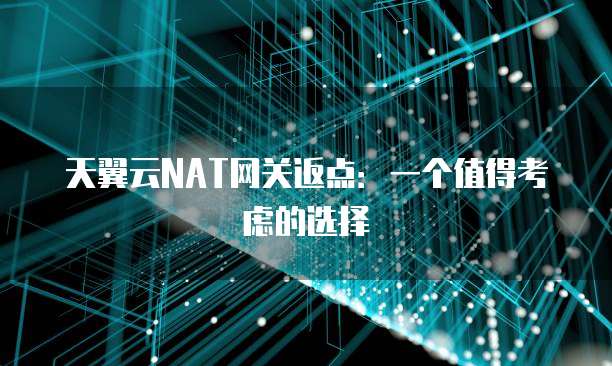 天翼云NAT网关返点:一个值得考虑的选择