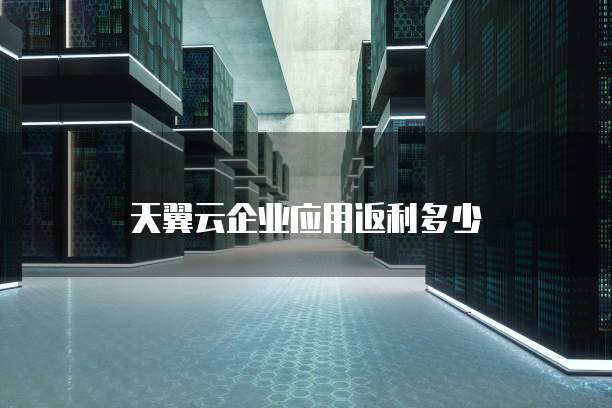 天翼云企业应用返利多少