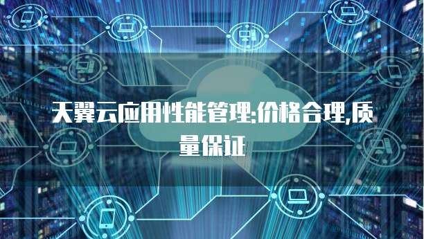 天翼云应用性能管理:价格合理,质量保证