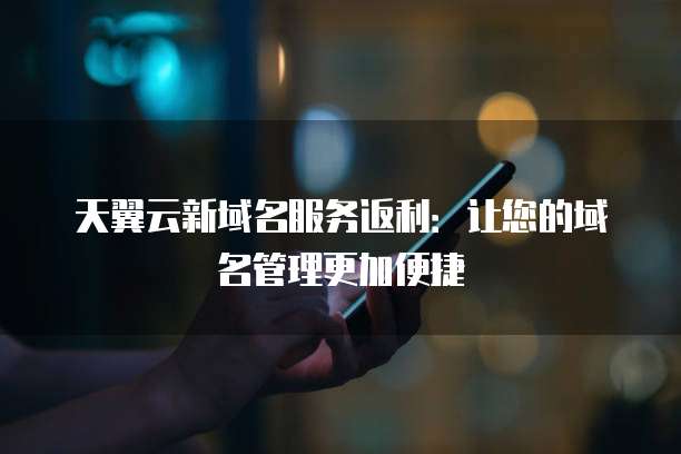 天翼云新域名服务返利：让您的域名管理更加便捷