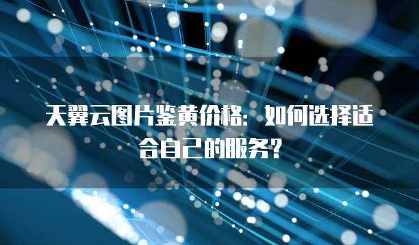 天翼云图片鉴黄价格:如何选择适合自己的服务?