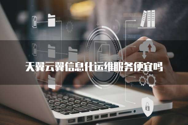 天翼云翼信息化运维服务便宜吗