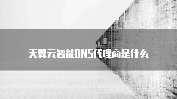 天翼云智能DNS代理商是什么