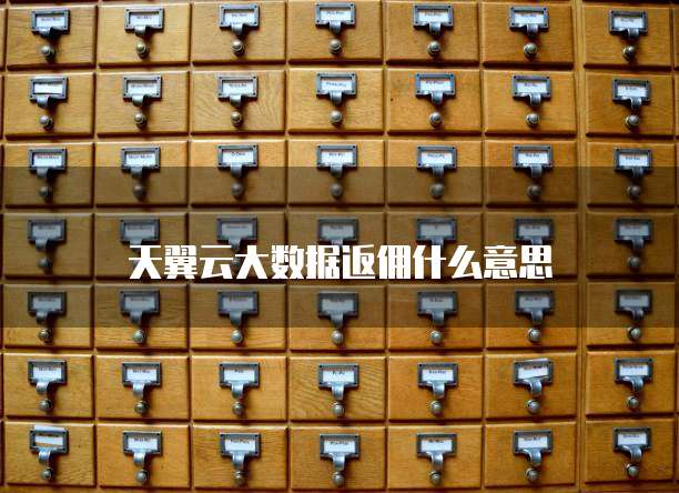 天翼云大数据返佣什么意思