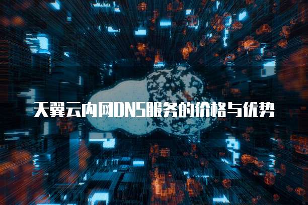 天翼云内网DNS服务的价格与优势