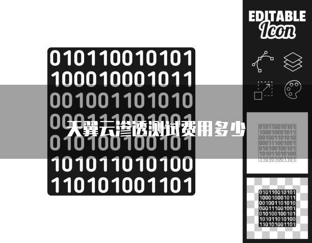 天翼云渗透测试费用多少