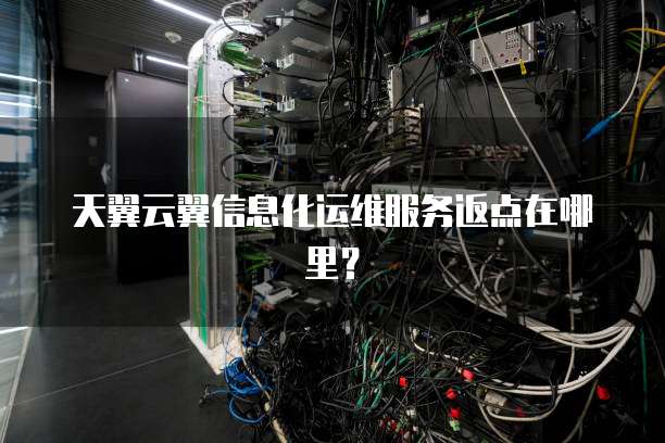 天翼云翼信息化运维服务返点在哪里？