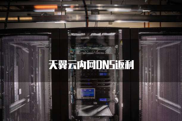 天翼云内网DNS返利