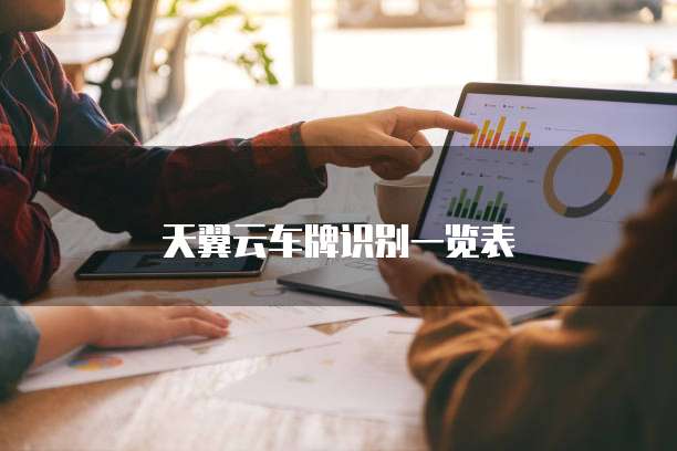 天翼云车牌识别一览表