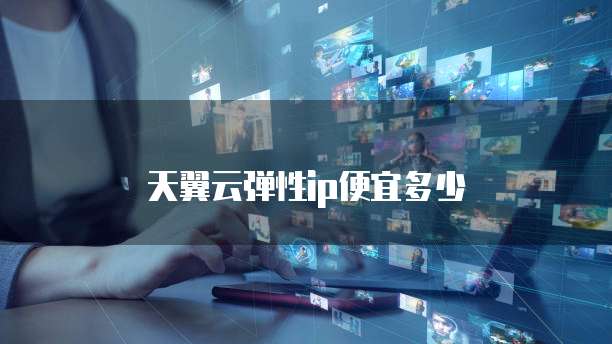 天翼云弹性ip便宜多少
