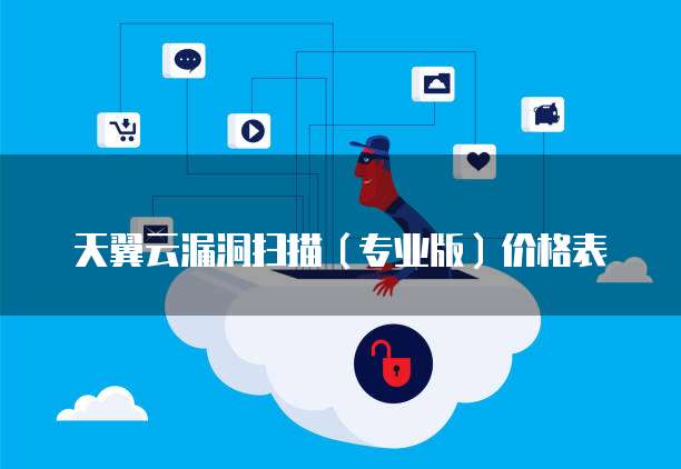天翼云漏洞扫描(专业版)价格表