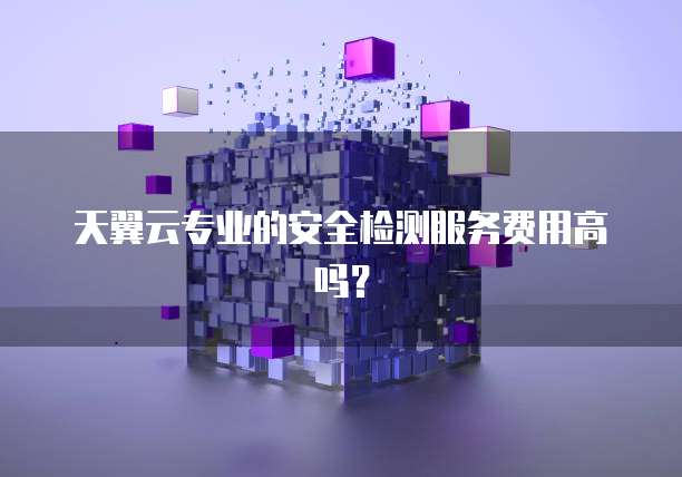 天翼云专业的安全检测服务费用高吗?