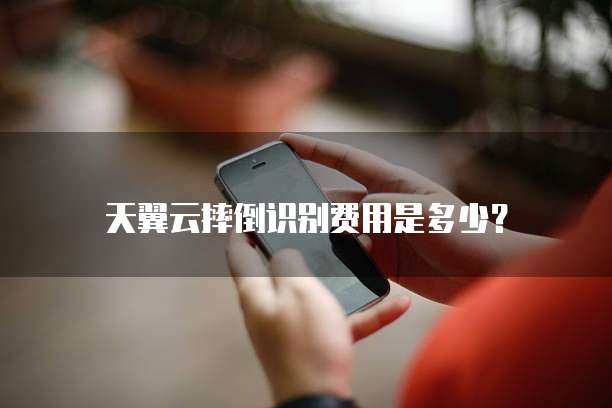 天翼云摔倒识别费用是多少?