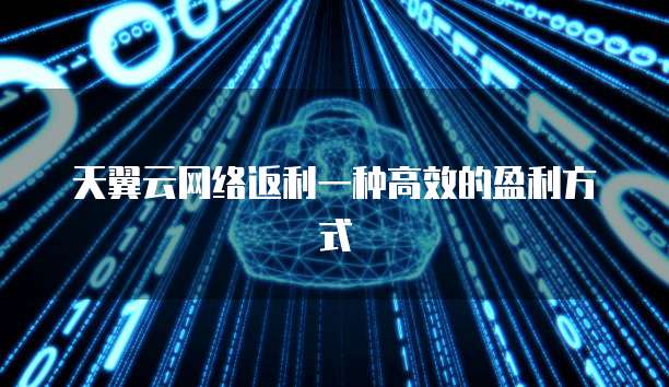 天翼云网络返利一种高效的盈利方式