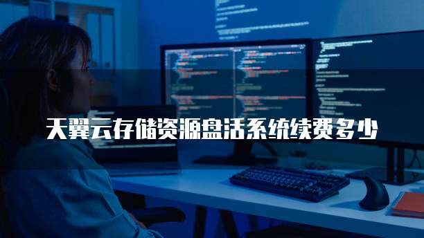 天翼云存储资源盘活系统续费多少