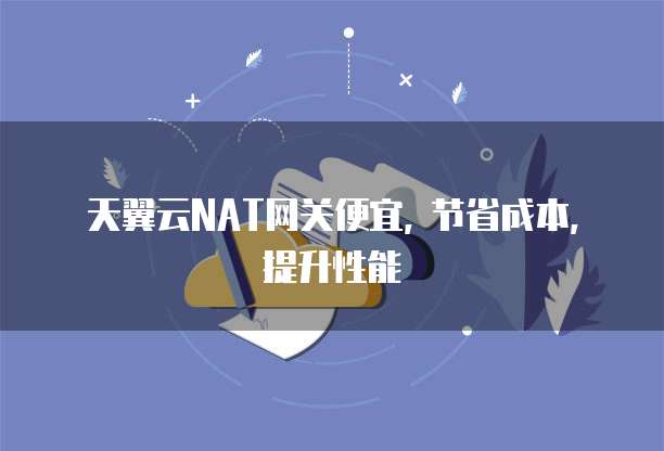 天翼云NAT网关便宜, 节省成本, 提升性能