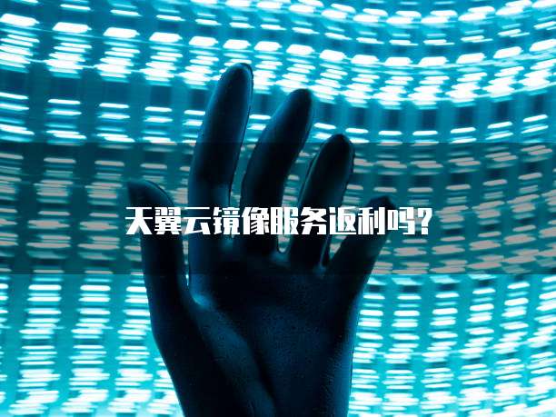 天翼云镜像服务返利吗?