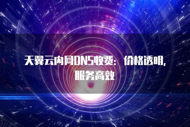 天翼云内网DNS收费:价格透明,服务高效