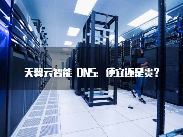天翼云智能 DNS:便宜还是贵?