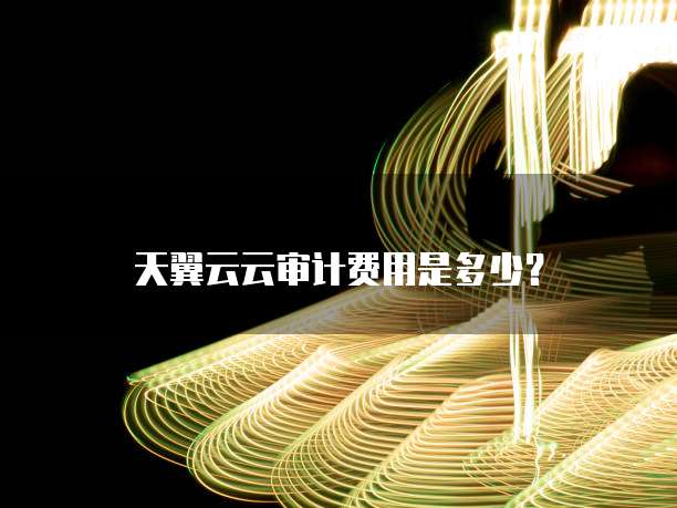 天翼云云审计费用是多少?
