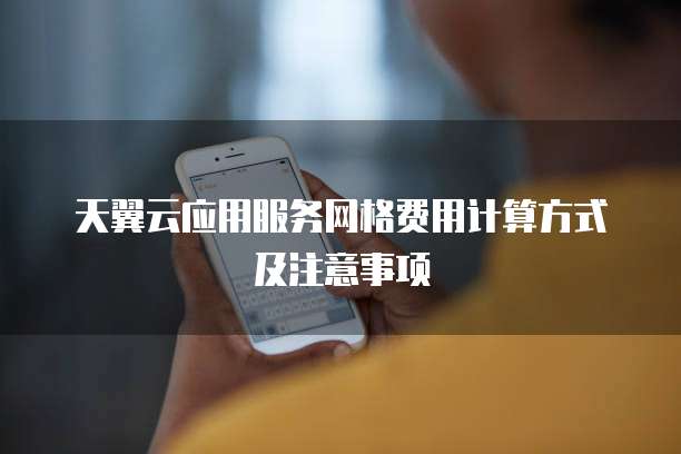 天翼云应用服务网格费用计算方式及注意事项