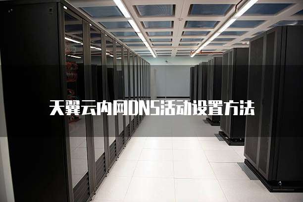 天翼云内网DNS活动设置方法