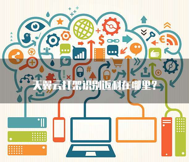 天翼云打架识别返利在哪里?
