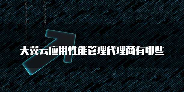 天翼云应用性能管理代理商有哪些