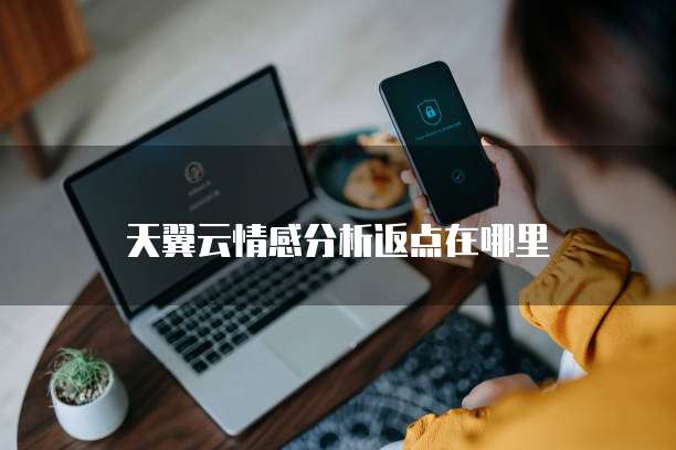天翼云情感分析返点在哪里