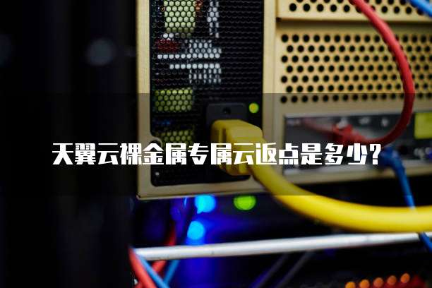 天翼云裸金属专属云返点是多少?