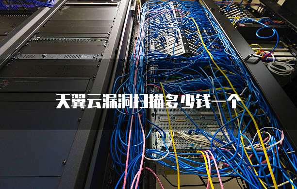 天翼云漏洞扫描多少钱一个